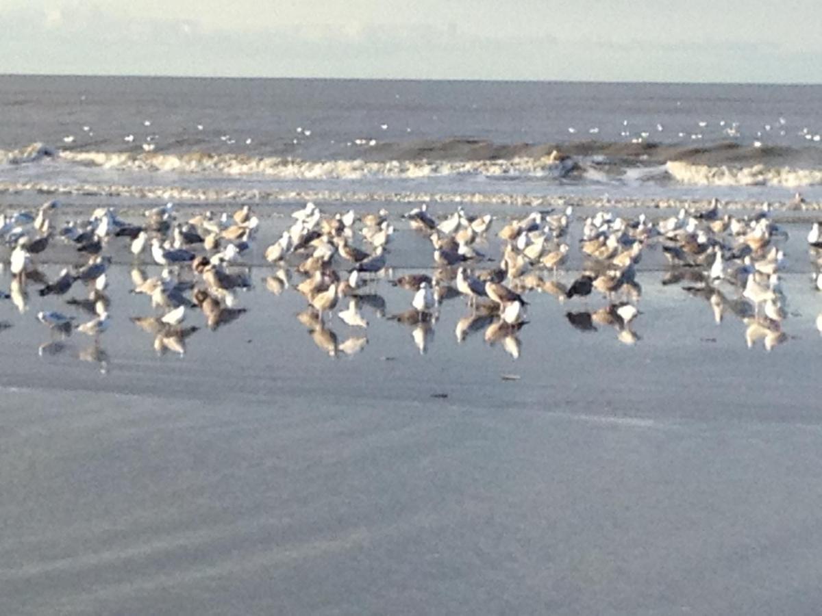 Strand En Meer Katwijk aan Zee Luaran gambar